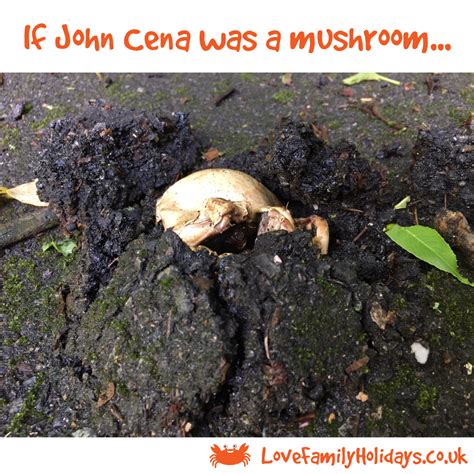 John Cena's Fungi: A Portal to Another Realm?